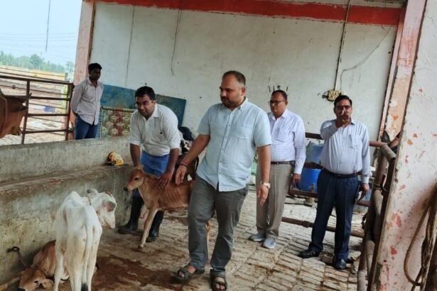 District Magistrate did a surprise inspection