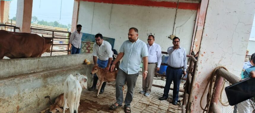 District Magistrate did a surprise inspection
