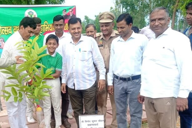 The flame of greenery lit up in the fort: Rainbow School