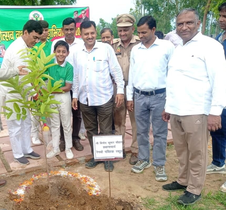 The flame of greenery lit up in the fort: Rainbow School