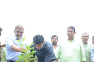 GDA VC ATUL VATS. IMAGE CREDIT TO GDA