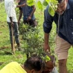 Greater Noida Authority Gets Strict on Green Cover. IMAGE CREDIT TO GNIDA