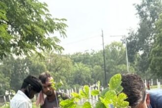 Greater Noida Authority Gets Strict on Green Cover. IMAGE CREDIT TO GNIDA