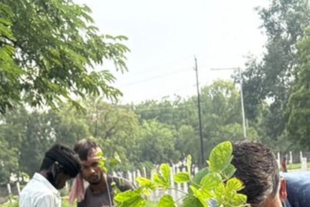 Greater Noida Authority Gets Strict on Green Cover. IMAGE CREDIT TO GNIDA