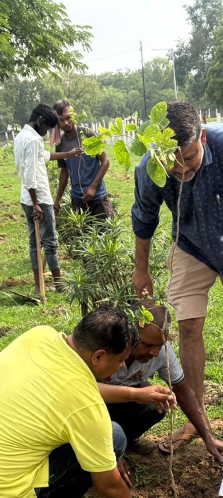 Greater Noida Authority Gets Strict on Green Cover. IMAGE CREDIT TO GNIDA