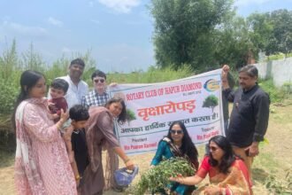 Tree Planted in Mother’s Name by Rotary Club Hapur, IMAGE CREDIT TO ROTARY CLUB