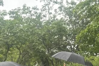 the Authority took strict cognizance, blacklisted the contractor, and took action against the officials involved IMAGE CREDIT TO GNIDA