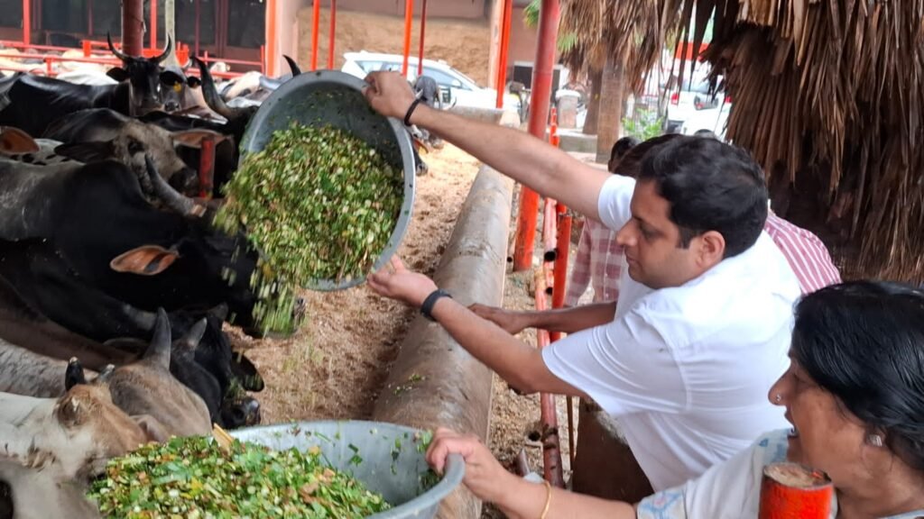 Nandi Park Gaushala का महापौर और नगर आयुक्त द्वारा औचक निरीक्षण, व्यवस्थाएं मिली दुरुस्त, आत्मनिर्भरता की ओर बढ़ता गोसेवा केंद्र 2 WhatsApp Image 2025 07 24 at 7.57.58 PM
