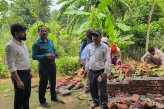 Authority strict on negligence in greenery maintenance IMAGE CREDIT TO GDA