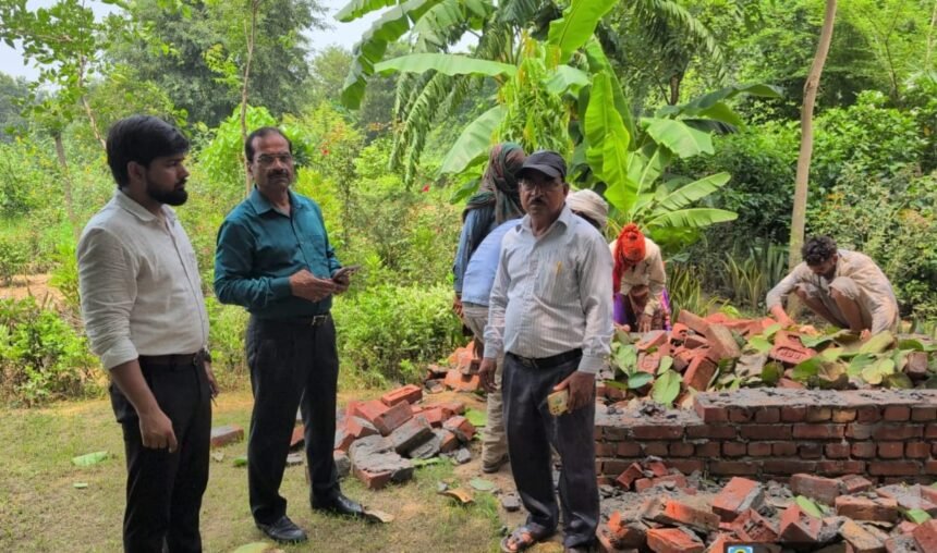 Authority strict on negligence in greenery maintenance IMAGE CREDIT TO GDA