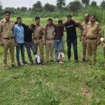 Bullets fired after entering the forest; two criminals injured in retaliatory firing IMAGE CREDIT TO POLICE
