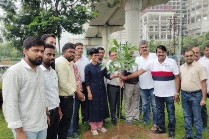 : Authority leads Greater Noida towards greenery IMAGE CREDIT TO GNIDA