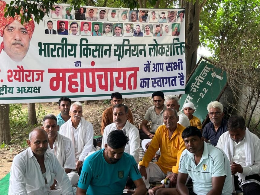 Farmers raise the alarm in Raunija IMAGE CREDIT TO REPORTER