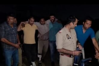 Two fraudsters arrested by police in an encounter IMAGE CREDIT TO POLICE