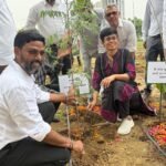 Green Boost for Sector-10 by Greater Noida Authority. Photo by GNIDA