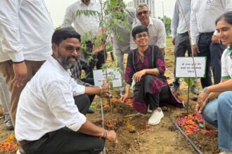 Green Boost for Sector-10 by Greater Noida Authority. Photo by GNIDA