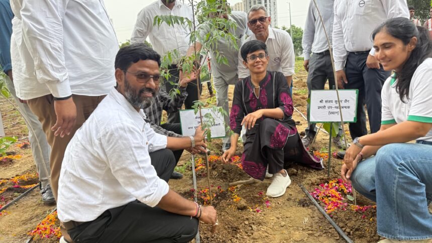 Green Boost for Sector-10 by Greater Noida Authority. Photo by GNIDA