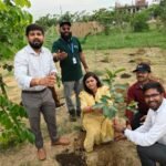 A major step taken by the authority to make Greater Noida green IMAGE CREDIT TO GNIDA