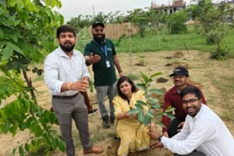 A major step taken by the authority to make Greater Noida green IMAGE CREDIT TO GNIDA