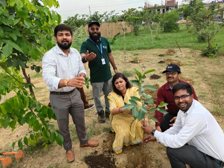 A major step taken by the authority to make Greater Noida green IMAGE CREDIT TO GNIDA