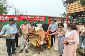 On Shri Krishna Janmashtami, Mayor Sunita Dayal performed a special cow worship ceremony at Nandini Gaushala. IMAGE CREDIT TO NAGAR NIGAM