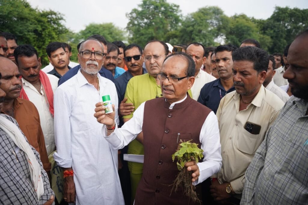 Soybean crop damaged in Raisen: शिवराज सिंह चौहान ने खेतों में किया औचक निरीक्षण, जांच समिति गठित 2 WhatsApp Image 2025 08 17 at 8.37.47 PM