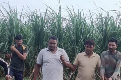 20-Foot Python Spotted in Field, Panic Among Farmers; Forest Department Conducts Successful Rescue IMAGE CREDIT TO REPORTER