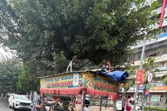 Campaign to Remove Illegal Carts and Stalls from Roads in Greater Noida; 12 Carts Seized IMAGE CREDIT TO AUTHORITY
