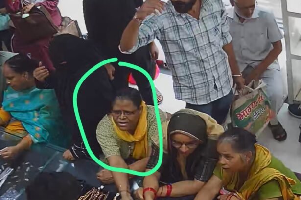 In Hapur's Sarrafa Bazaar, Woman Steals Gold Chain, Entire Incident Captured on CCTV IMAGE CREDIT TO POLICE