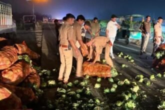 Overspeeding caused an accident on NH 334, where a pickup loaded with cauliflower overturned, leaving the driver seriously injured IMAGE CREDIT TO POLICE