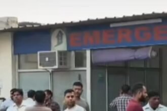 A speeding pickup claimed the life of an elderly person, while their companion narrowly escaped IMAGE CREDIT TO REPORTER