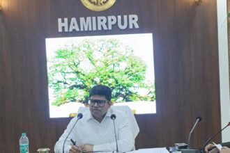 DM Takes Strict Action for Lagging Targets, Stops Salary of Four Mandi Secretaries IMAGE CREDIT TO INFORMATION DEPARTMENT