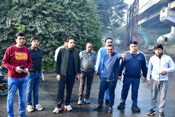 Air Pollution: The Municipal Commissioner inspected the ongoing works of the mega campaign IMAGE CREDIT TO NAGAR NIGAM