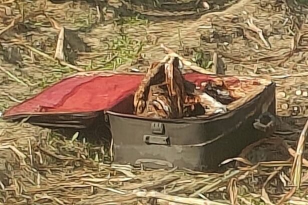 The female skeleton found in a black suitcase revealed layers of terror; police accelerated investigation by forming three teams IMAGE CREDIT TO POLICE