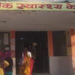 The menace of stray dogs has increased in Nagina; common people are living in fear, and there is anger due to lack of action IMAGE CREDIT TO REPORTER