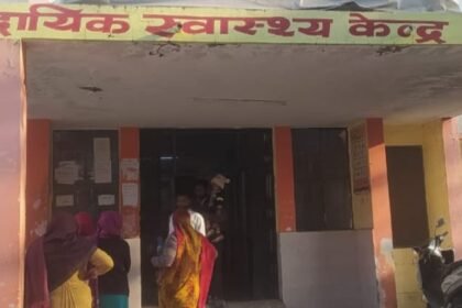 The menace of stray dogs has increased in Nagina; common people are living in fear, and there is anger due to lack of action IMAGE CREDIT TO REPORTER