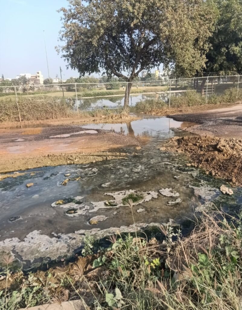 WhatsApp Image 2025 12 18 at 7.42.38 PM 6