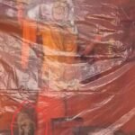 Dog circumambulating Hanuman idol became the center of faith, crowd of devotees gathered at Nandpur temple IMAGE CREDIT TO REPORTER