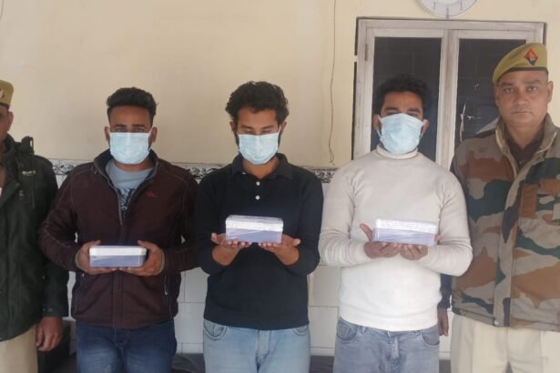 Friends posing as fake judicial officers commit cyber fraud of ₹5.30 lakh; three accused sent to jail IMAGE CREDIT TO POLICE