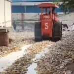 Expired liquor worth ₹2.50 crore destroyed by bulldozer, major action by Excise Department IMAGE CREDIT TO आबकारी विभाग