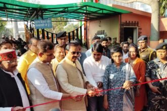 A colorful world of flowers has been displayed in the City Park, with a free exhibition open until March 1. IMAGE CREDIT TO AUTHORITY