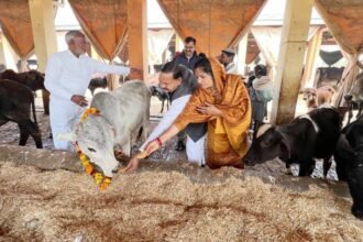 At the Bant Vrihad Gaushala Center, a grand Maha Shivaratri puja was held in the presence of Kusum Devi, with special worship of Nandi Maharaj and Gomata. IMAGE CREDIT TO REPORTER