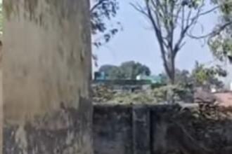 Illegal Axes Used on Government Trees Along Highway; Forest Department Takes Strict Action, Arrests Being Prepared IMAGE CREDIT TO REPORTER