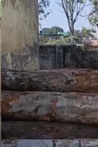 Illegal Axes Used on Government Trees Along Highway; Forest Department Takes Strict Action, Arrests Being Prepared IMAGE CREDIT TO REPORTER