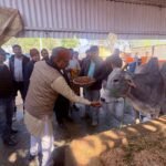 Cow Protection Commission Member Ramakant Upadhyay Inspects Gaushalas in Gautam Buddha Nagar, Directs Proper Management. IMAGE CREDIT TO INFORMATION DEPARTMENT