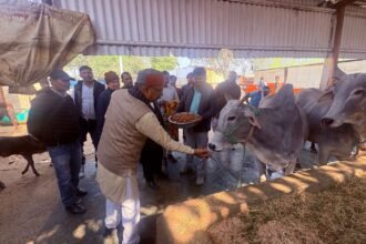 Cow Protection Commission Member Ramakant Upadhyay Inspects Gaushalas in Gautam Buddha Nagar, Directs Proper Management. IMAGE CREDIT TO INFORMATION DEPARTMENT