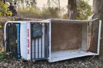Goods Vehicle Overturns After Hitting a Nilgai; Driver Admitted to Hospital in Critical Condition IMAGE CREDIT TO REPORTER