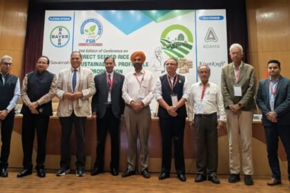 Using DSR technology in paddy cultivation can save up to 35% water and reduce costs by up to ₹14,000 per hectare IMAGE CREDIT TO एफएसआईआई