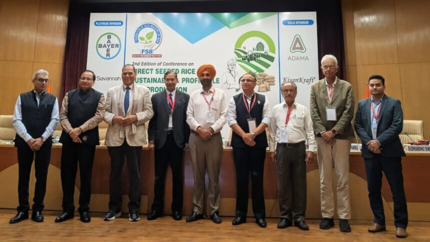 Using DSR technology in paddy cultivation can save up to 35% water and reduce costs by up to ₹14,000 per hectare IMAGE CREDIT TO एफएसआईआई