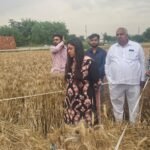 The District Magistrate formed survey teams to assess crop damage caused by strong winds, rain, and hail. IMAGE CREDIT TO INFORMATION DEPARTMENT